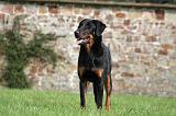 BEAUCERON 977